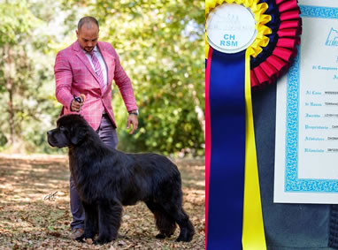 Concorsi e Premi. News